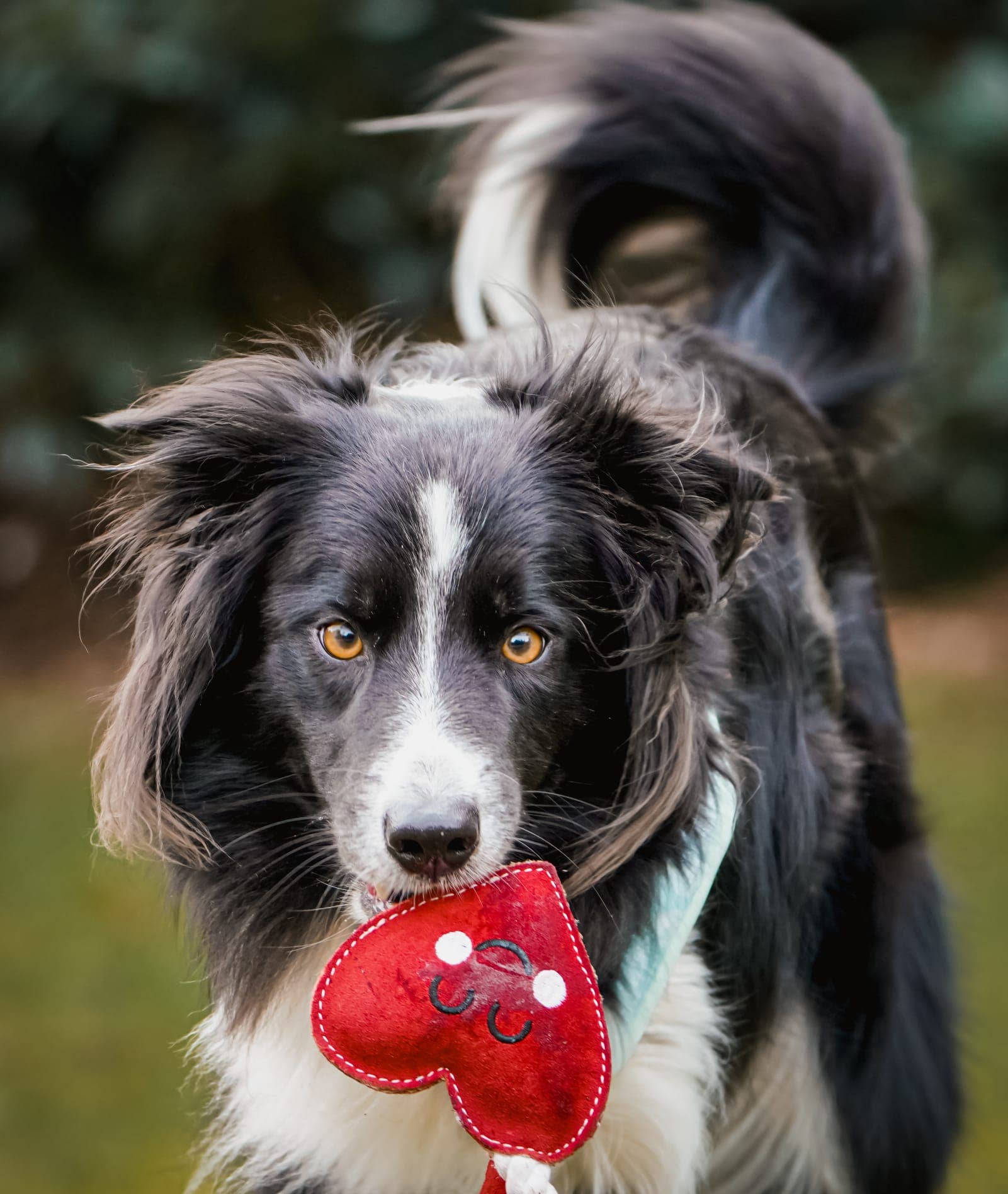 Heart shaped Eco Dog Toy (Heart strings)