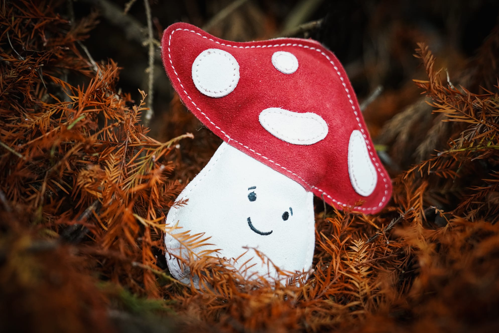 Marie the Mushroom Shaped Eco Dog Toy