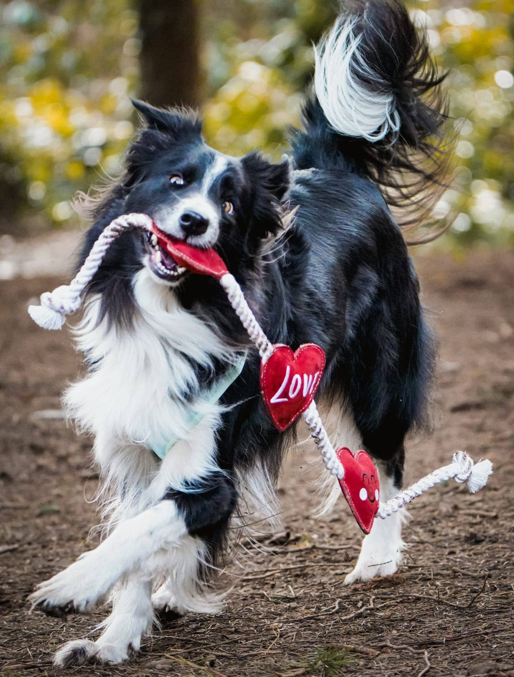 Heart shaped Eco Dog Toy (Heart strings)