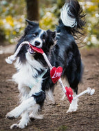 Heart shaped Eco Dog Toy (Heart strings)