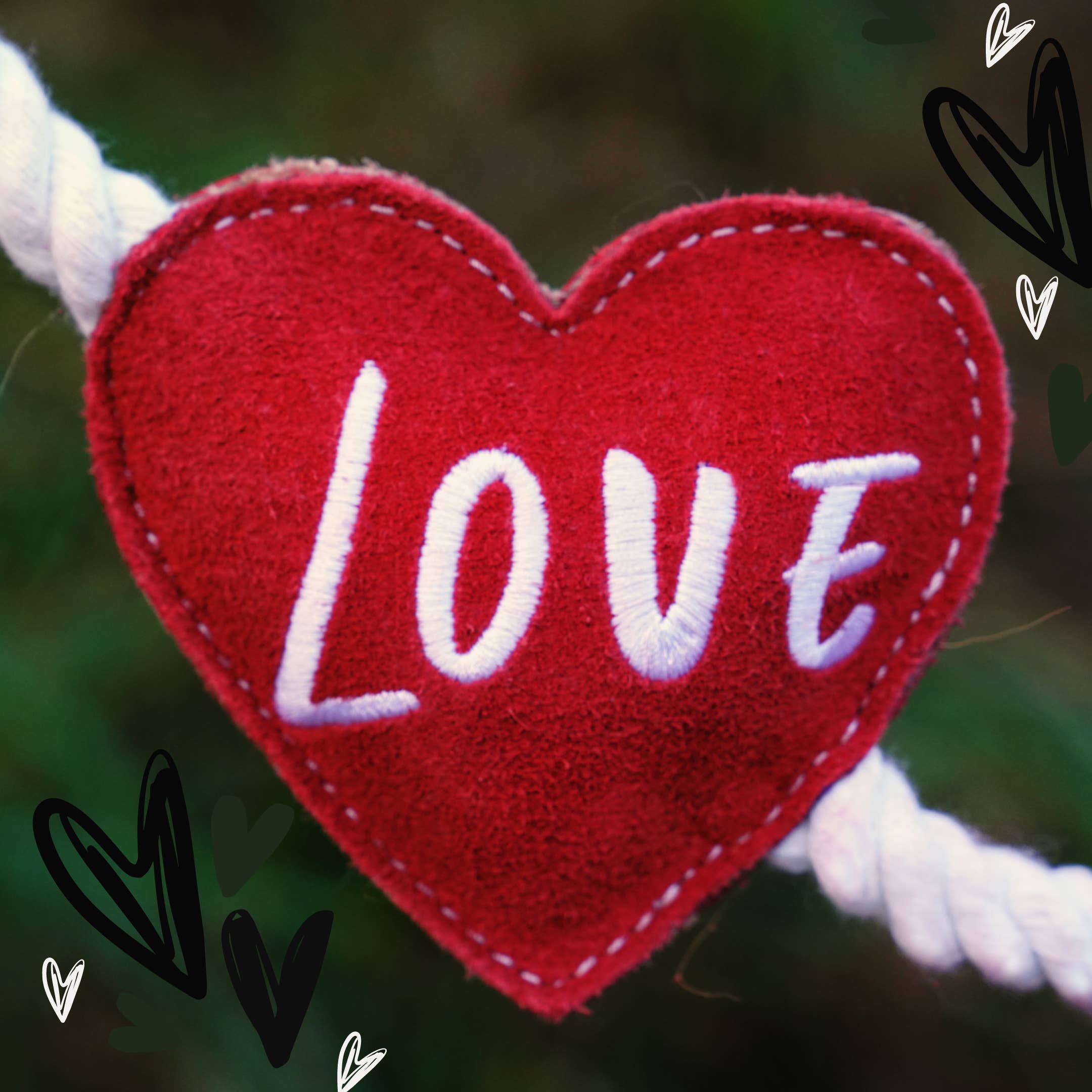 Heart shaped Eco Dog Toy (Heart strings)
