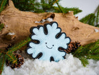 Flakey the Snowflake shaped Eco Dog Toy