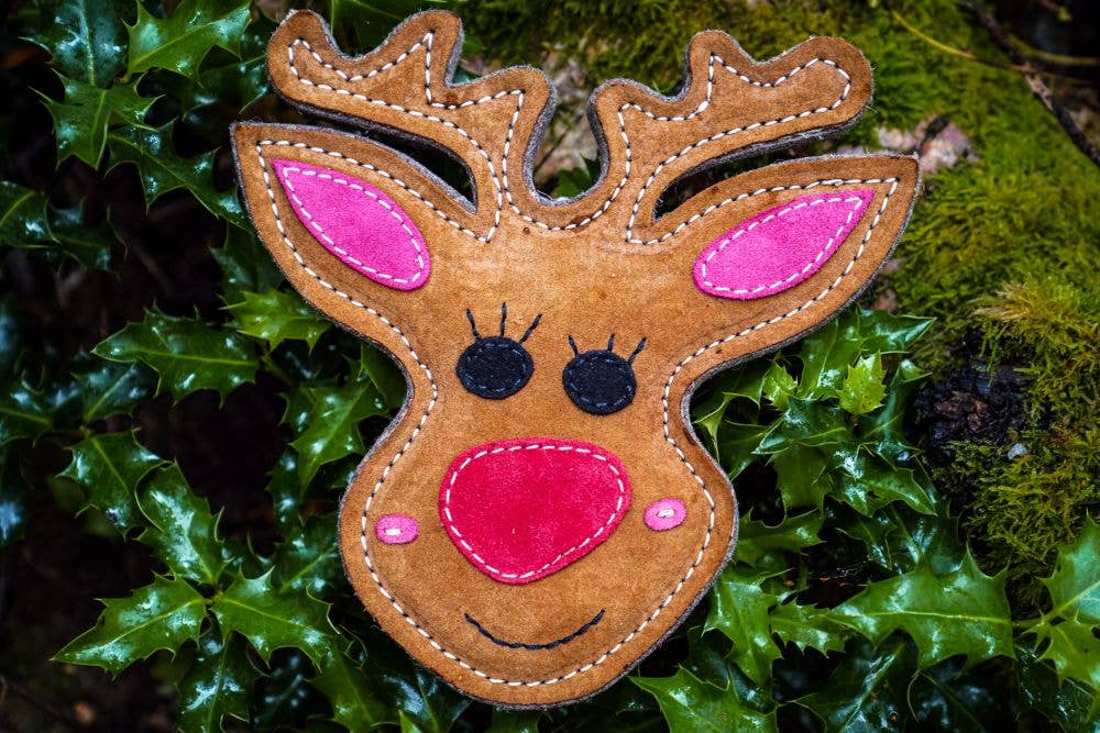 Rudy the Reindeer Christmas Eco Dog Toy
