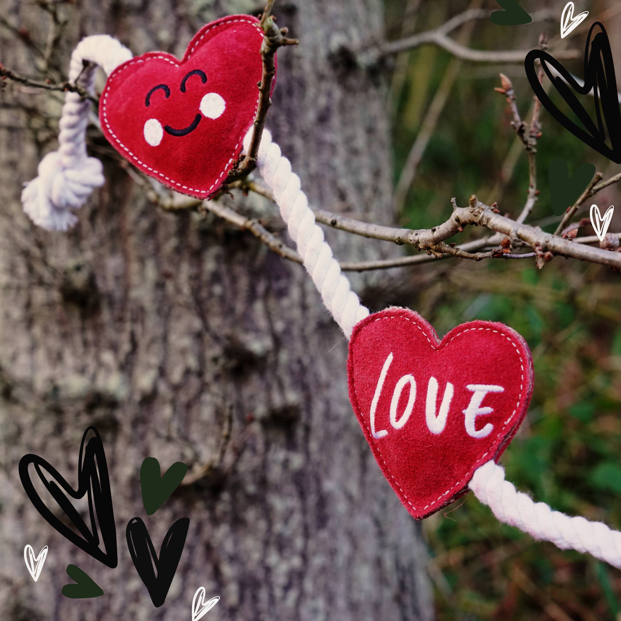 Heart shaped Eco Dog Toy (Heart strings)