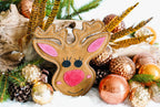 Rudy the Reindeer Christmas Eco Dog Toy